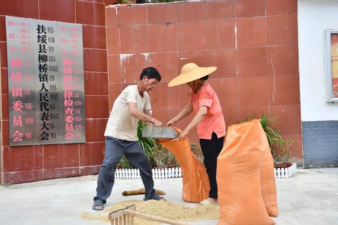 这个县城创造罚款收入下降“奇迹”ky开元棋牌政府大楼旁可以摆摊(图4)